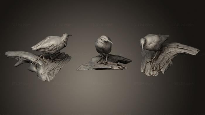 Bird figurines (Virginia Rail, STKB_0149) 3D models for cnc